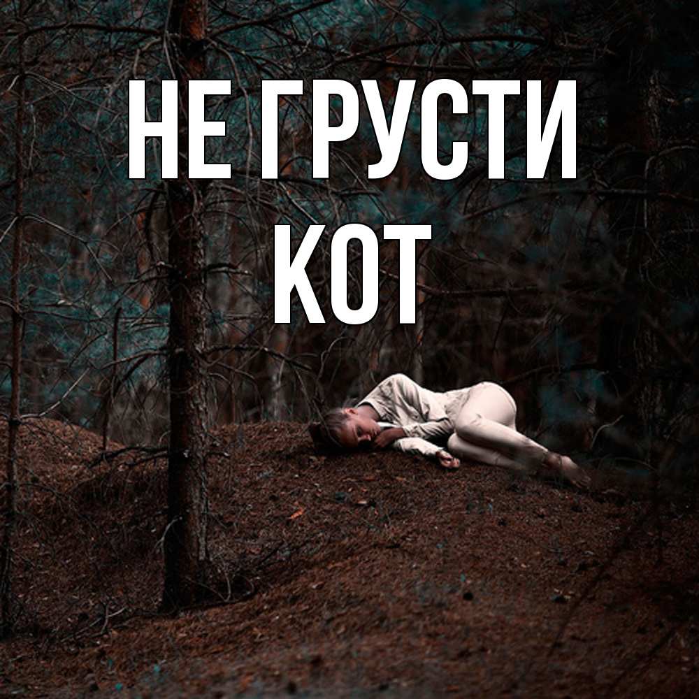 Открытка на каждый день с именем, Кот Не грусти лес Прикольная открытка с пожеланием онлайн скачать бесплатно 