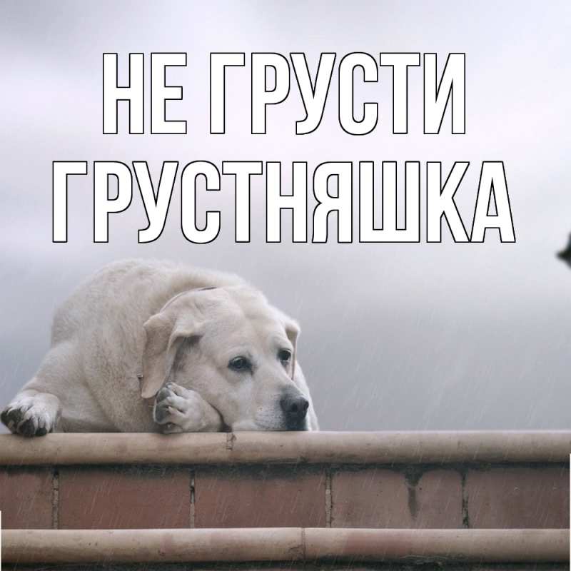 Картинка Не грусти, Грустняшка