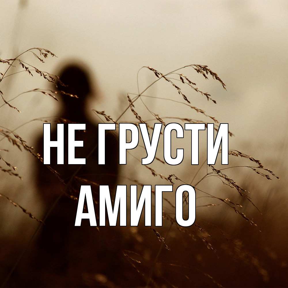 Открытка на каждый день с именем, Амиго Не грусти грусть Прикольная открытка с пожеланием онлайн скачать бесплатно 