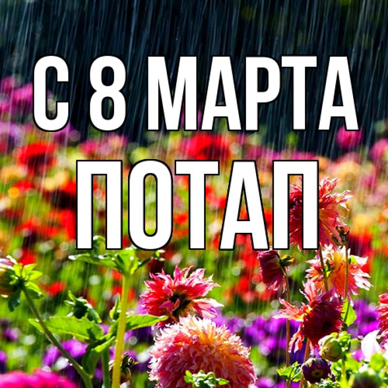 Картинка C 8 МАРТА, Потап