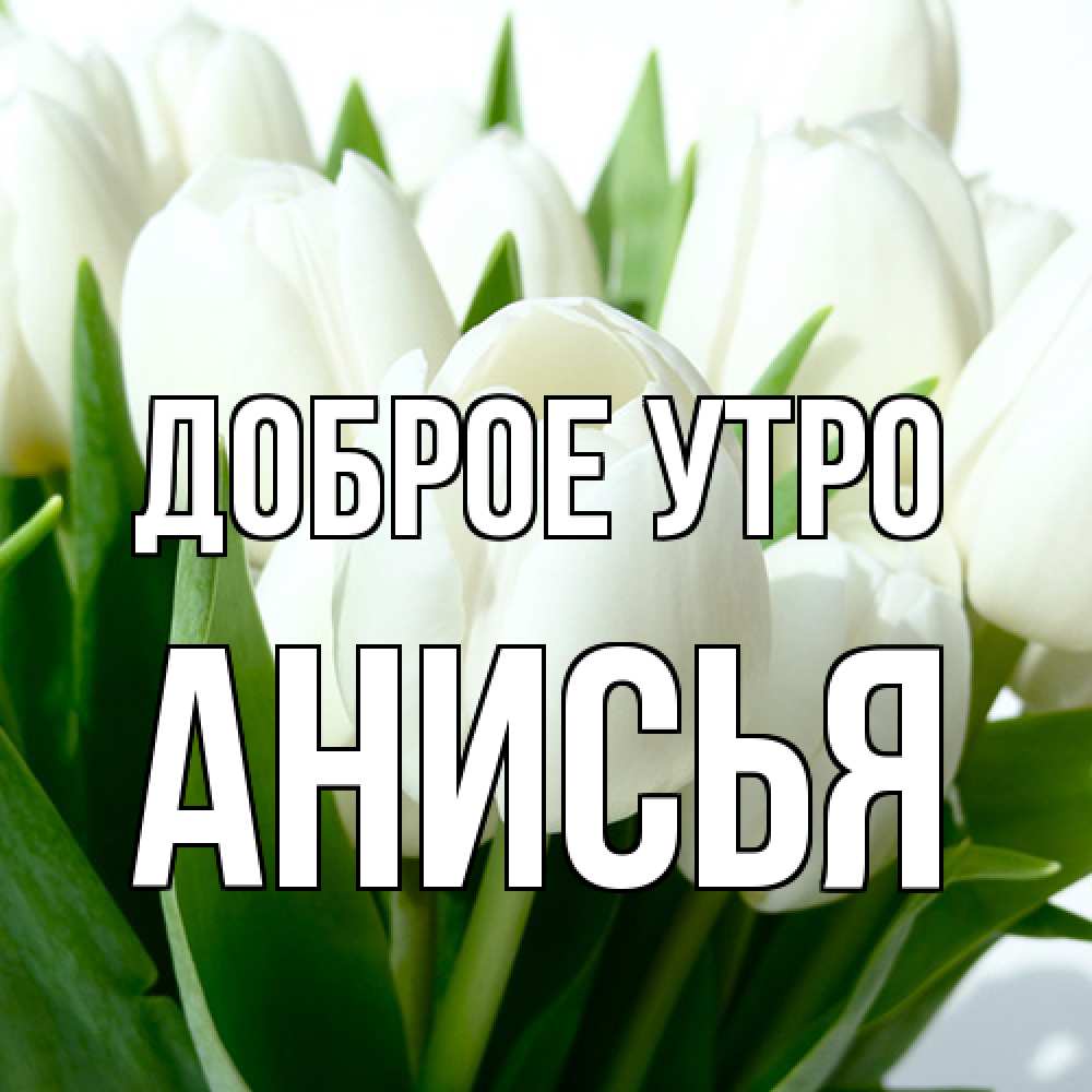 Открытка на каждый день с именем, Анисья Доброе утро открытки на каждый день по именам Прикольная открытка с пожеланием онлайн скачать бесплатно 