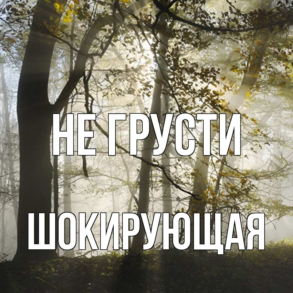 Открытка на каждый день с именем, Шокирующая Не грусти лес и свет Прикольная открытка с пожеланием онлайн скачать бесплатно 