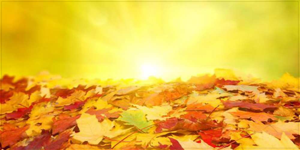 Открытка на каждый день с именем, Демьян Удачного дня пожелания удачного дня Прикольная открытка с пожеланием онлайн скачать бесплатно 