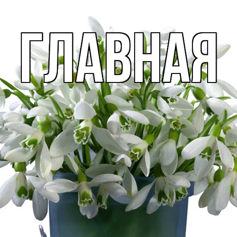 Открытка на каждый день с именем, настя Главная цветы к международному женскому дню Прикольная открытка с пожеланием онлайн скачать бесплатно 