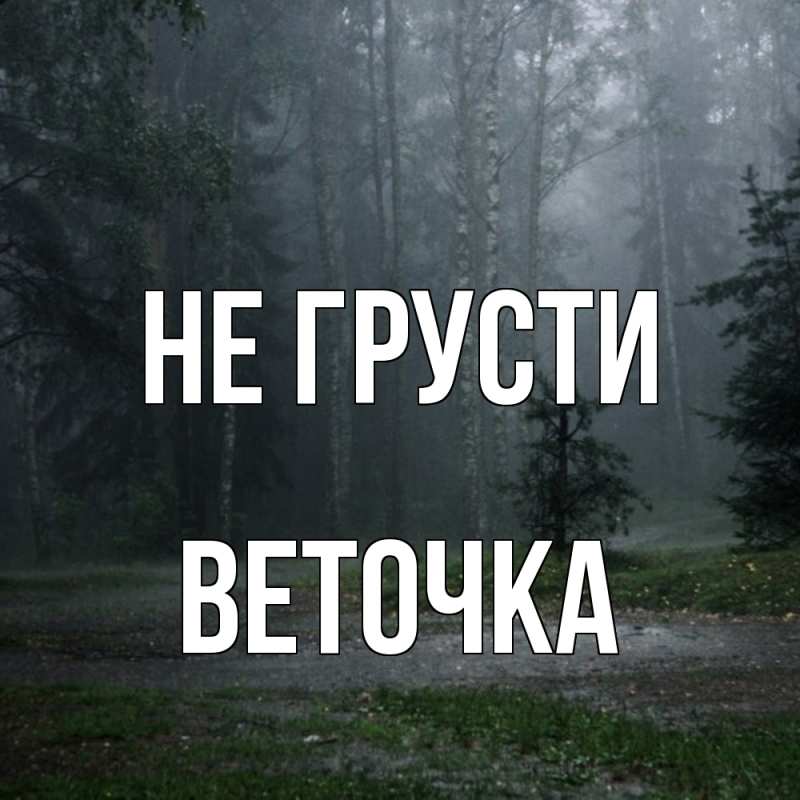 Картинка Не грусти, Веточка