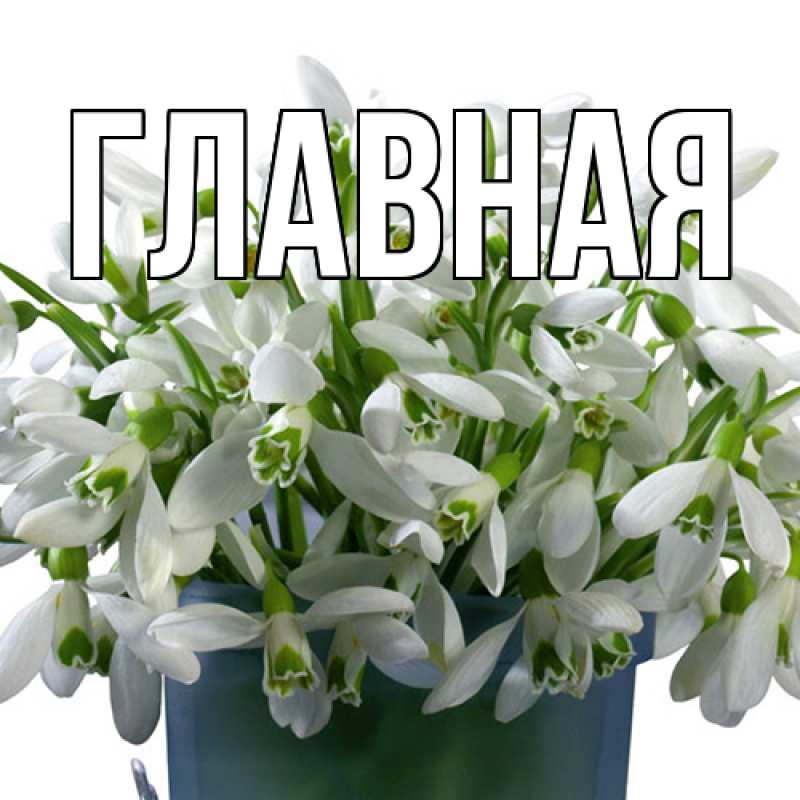 Картинка  с именем , настя