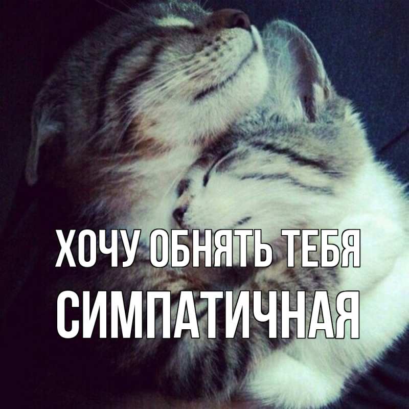 Картинка Хочу обнять тебя, симпатичная