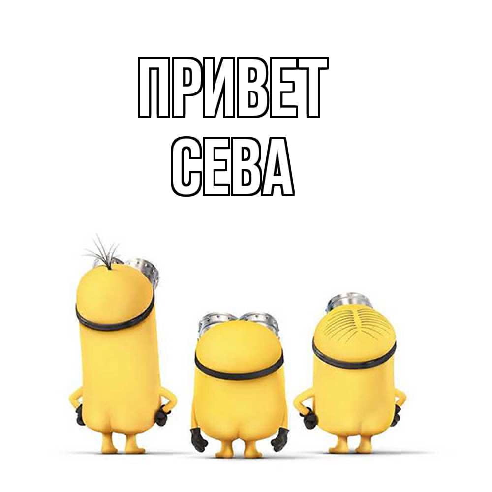 Открытка на каждый день с именем, Сева Привет приветики Прикольная открытка с пожеланием онлайн скачать бесплатно 