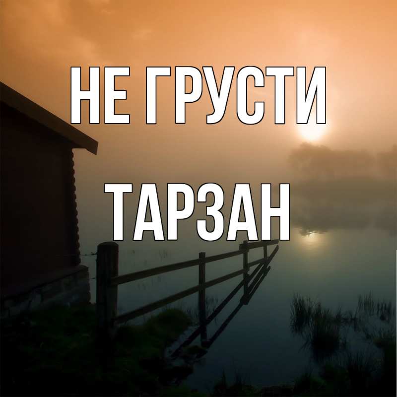 Картинка Не грусти, Тарзан