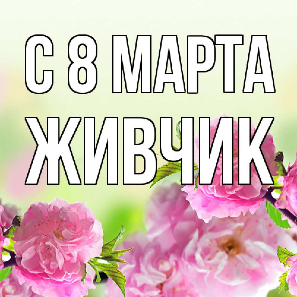 Открытка на каждый день с именем, Живчик C 8 МАРТА цветы Прикольная открытка с пожеланием онлайн скачать бесплатно 