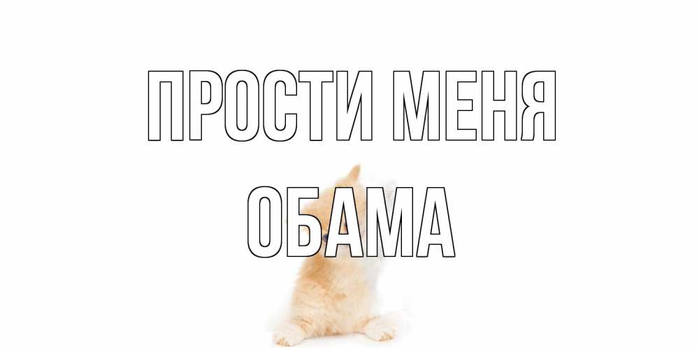 Открытка на каждый день с именем, Обама Прости меня кот Прикольная открытка с пожеланием онлайн скачать бесплатно 