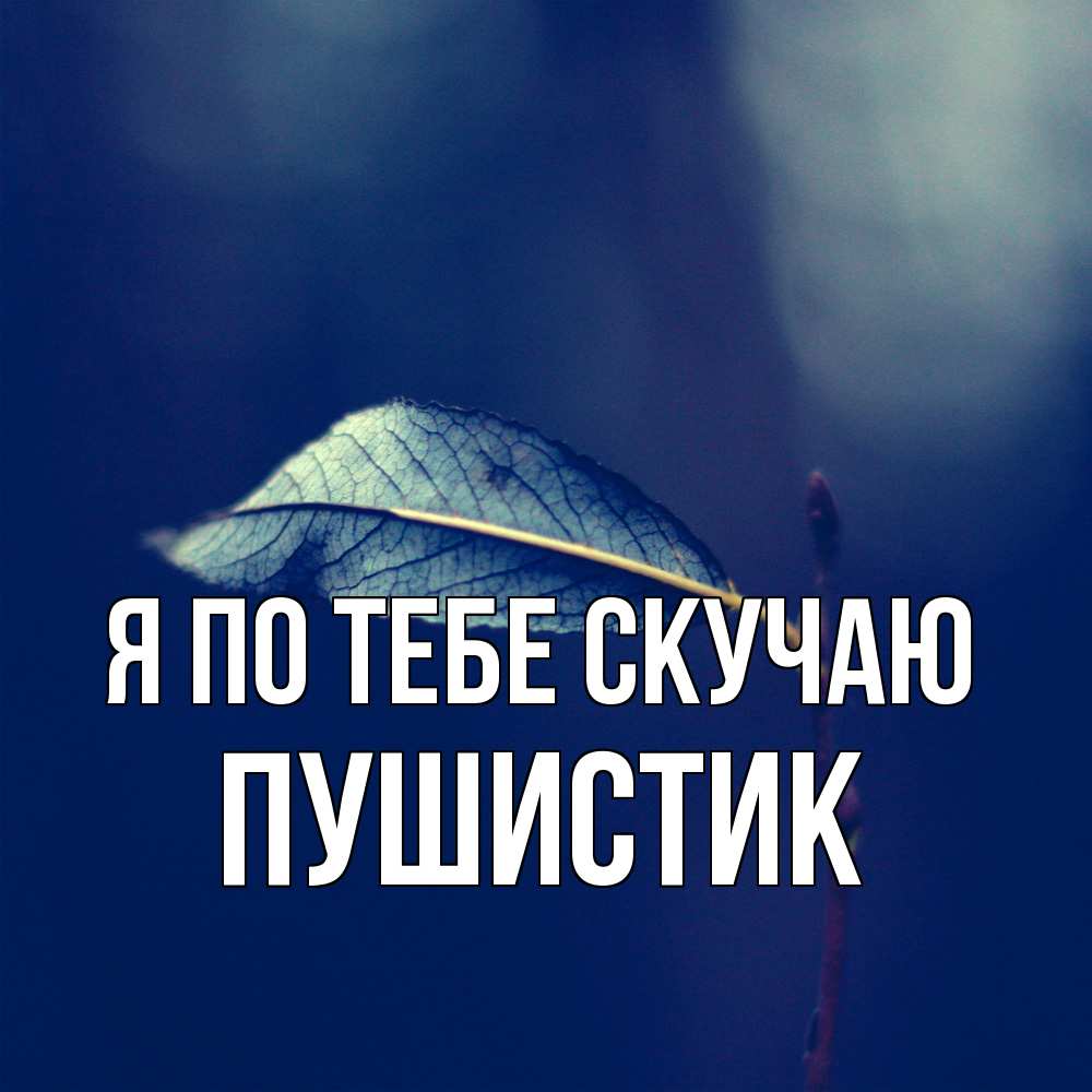 Открытка на каждый день с именем, Пушистик Я по тебе скучаю одна ветка 1 Прикольная открытка с пожеланием онлайн скачать бесплатно 