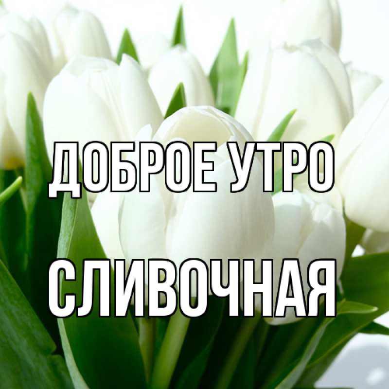 Картинка Доброе утро, Сливочная