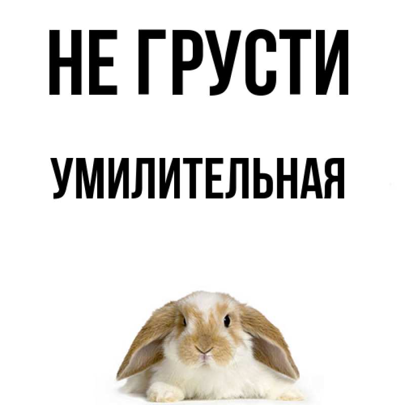 Картинка Не грусти, умилительная