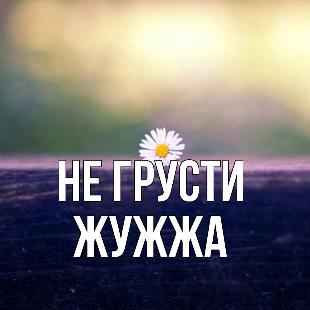 Открытка на каждый день с именем, Жужжа Не грусти красота Прикольная открытка с пожеланием онлайн скачать бесплатно 