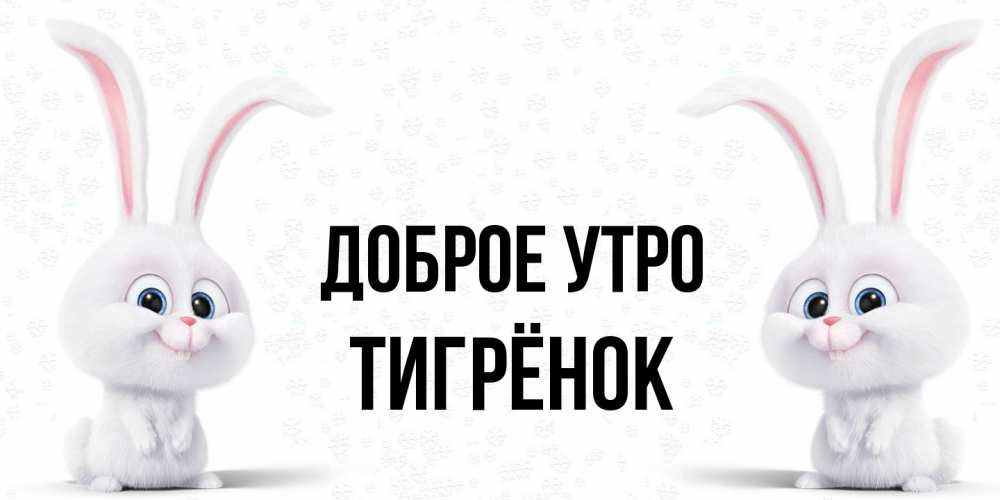 Открытка на каждый день с именем, Тигрёнок Доброе утро кролики с длинными ушками Прикольная открытка с пожеланием онлайн скачать бесплатно 