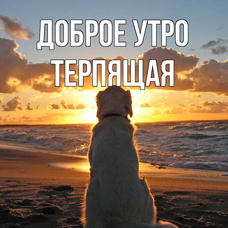 Картинка Доброе утро, Терпящая