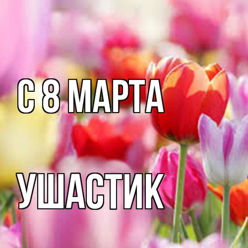Картинка C 8 МАРТА, Ушастик