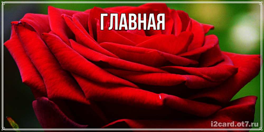 Открытка на каждый день с именем, Анна Главная розочка очень красивая Прикольная открытка с пожеланием онлайн скачать бесплатно 