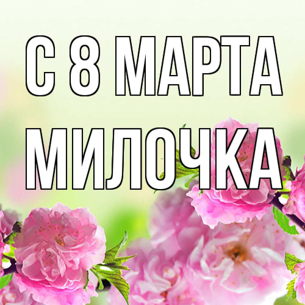 Открытка на каждый день с именем, Милочка C 8 МАРТА цветы Прикольная открытка с пожеланием онлайн скачать бесплатно 