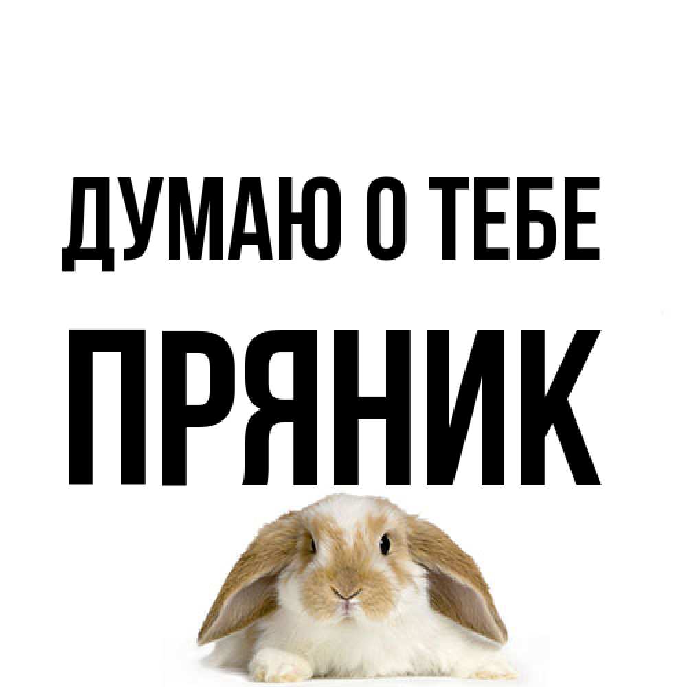 Открытка на каждый день с именем, Пряник Думаю о тебе подписать своими руками онлайн Прикольная открытка с пожеланием онлайн скачать бесплатно 