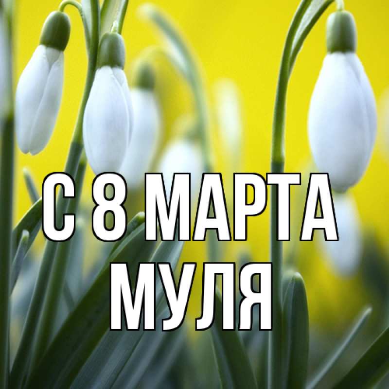 Картинка C 8 МАРТА, Муля