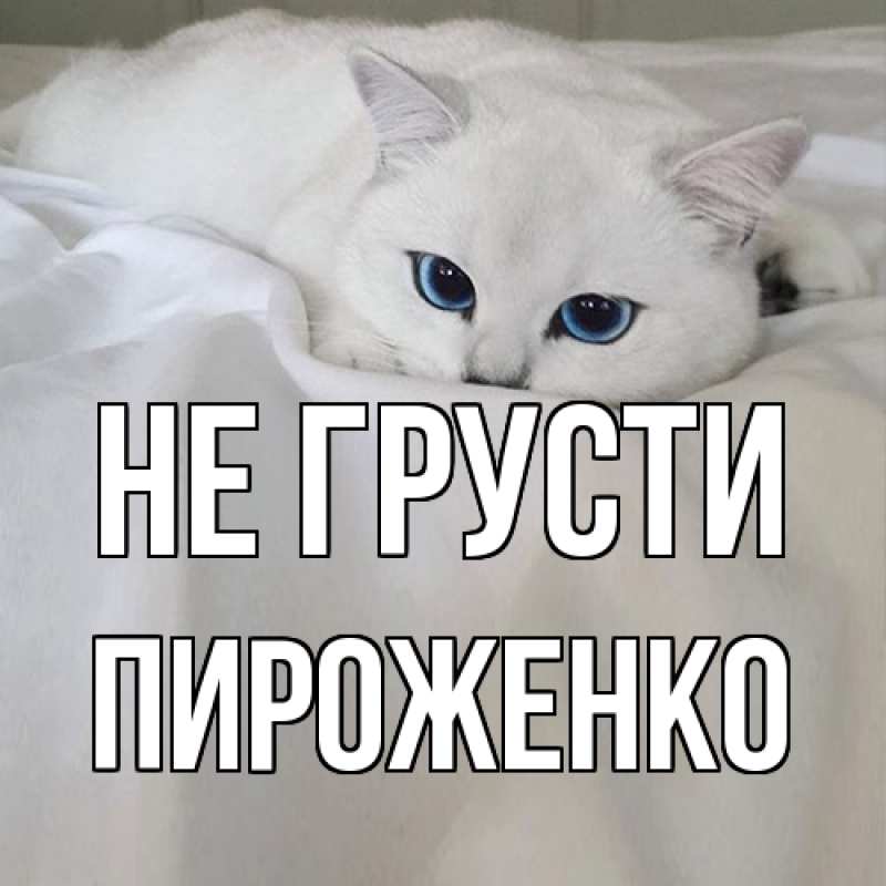 Картинка Не грусти, Пироженко