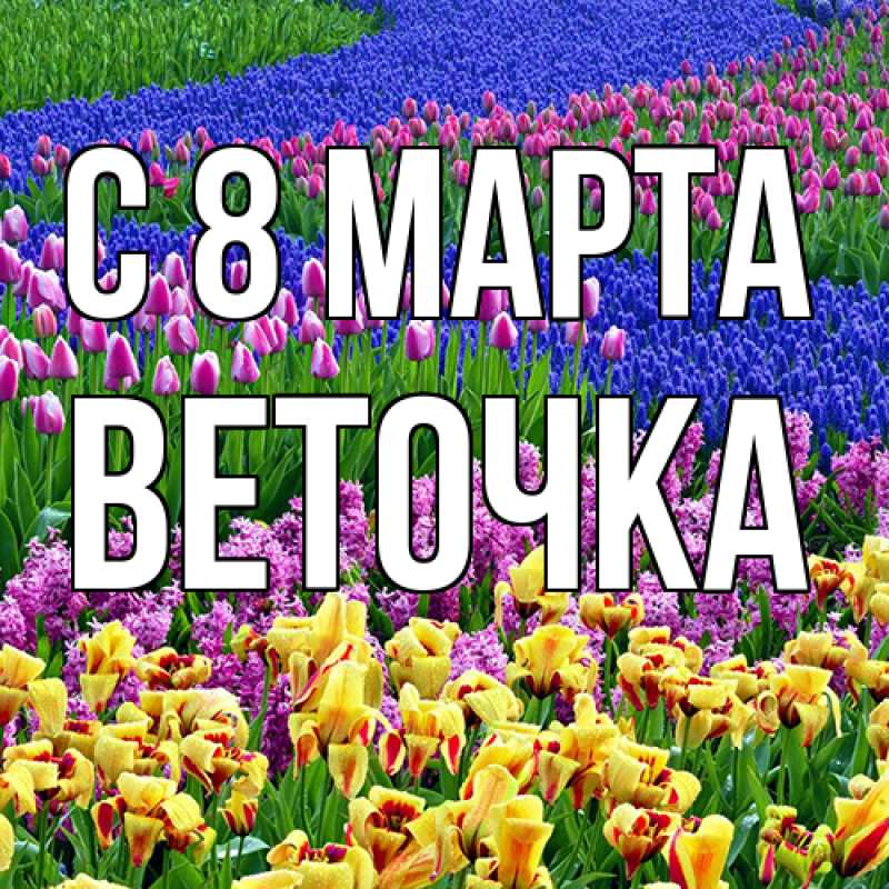 Картинка C 8 МАРТА, Веточка