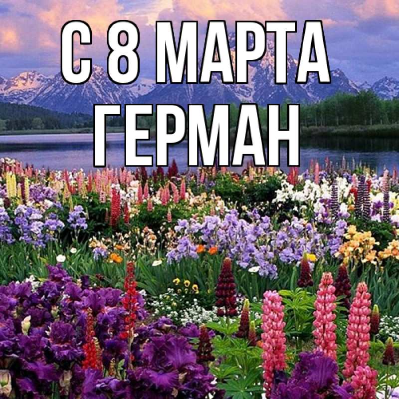 Картинка C 8 МАРТА, Герман