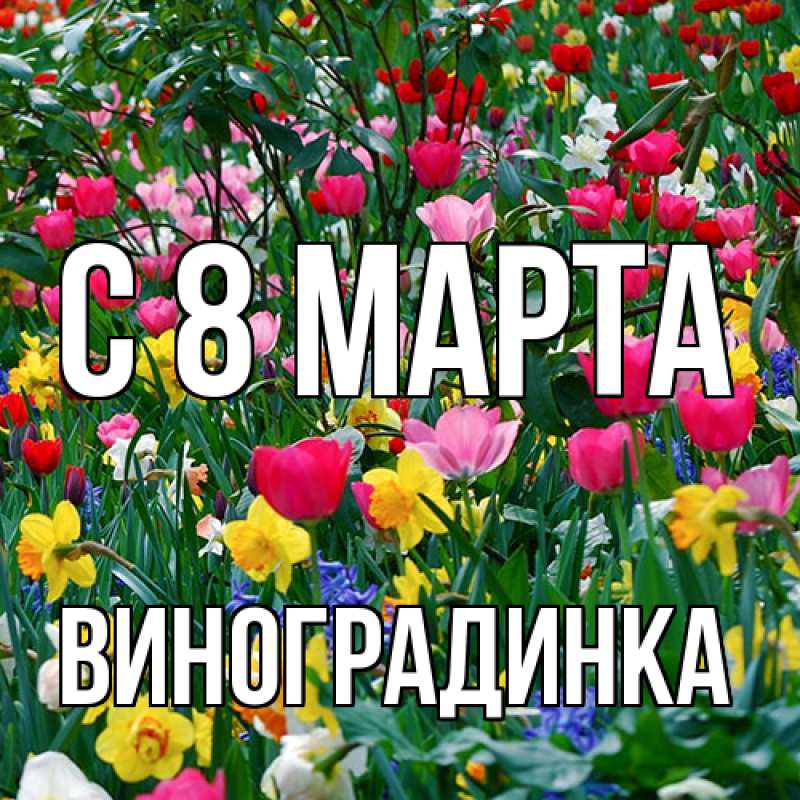 Картинка C 8 МАРТА, виноградинка
