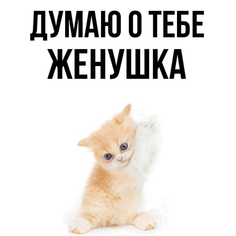 Картинка Думаю о тебе, женушка