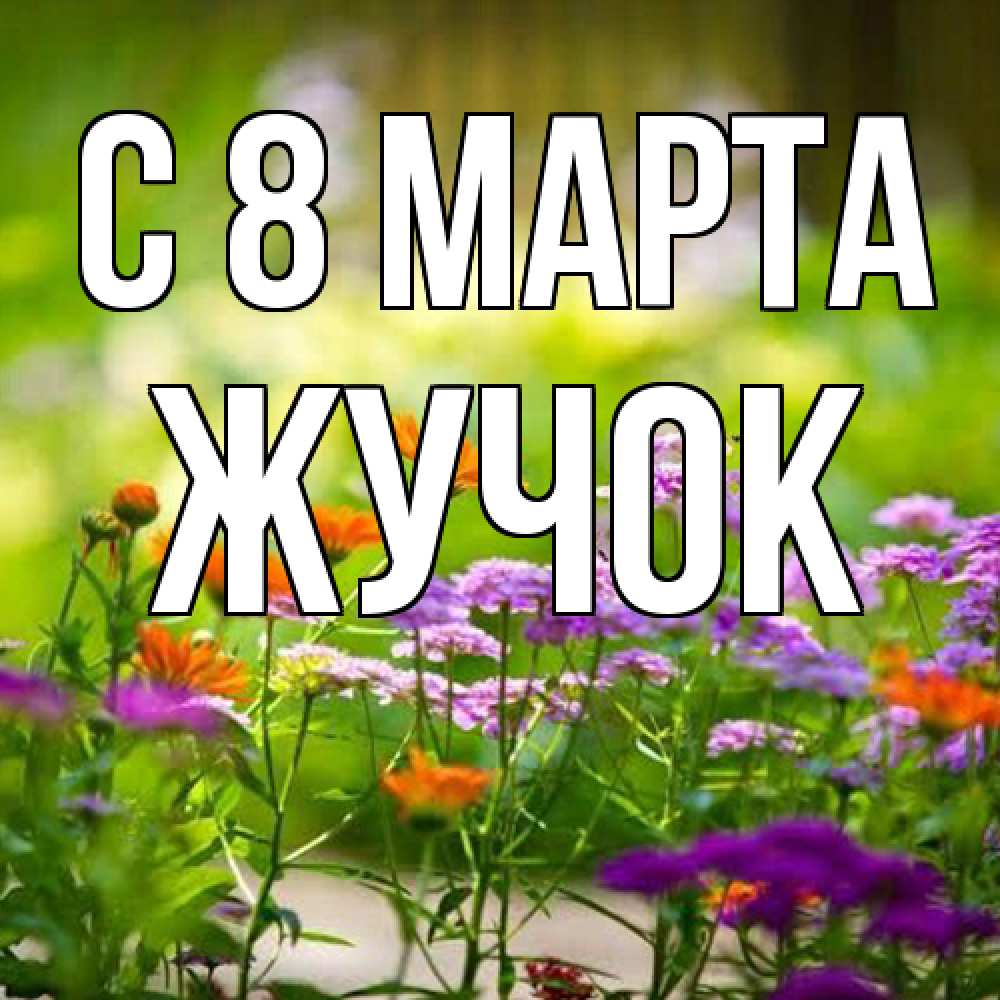 Открытка на каждый день с именем, жучок C 8 МАРТА цветы Прикольная открытка с пожеланием онлайн скачать бесплатно 