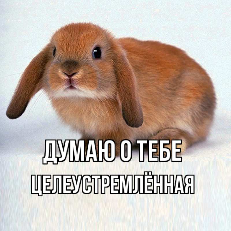 Картинка Думаю о тебе, Целеустремлённая