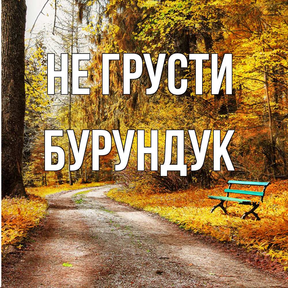 Открытка на каждый день с именем, Бурундук Не грусти зеленая лавочка Прикольная открытка с пожеланием онлайн скачать бесплатно 