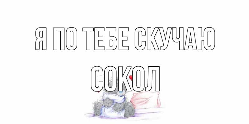 Картинка Я по тебе скучаю, Сокол