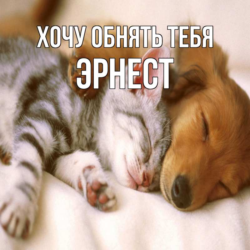 Картинка Хочу обнять тебя, Эрнест