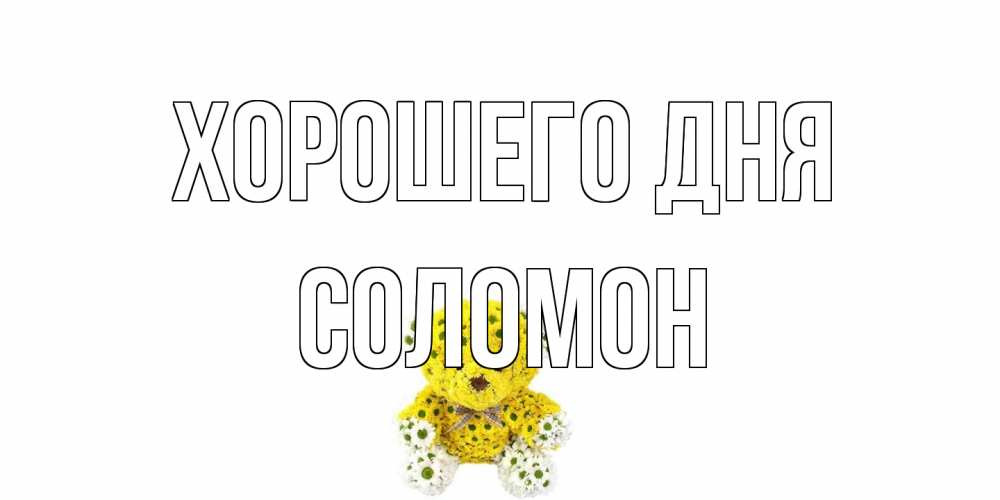 Открытка на каждый день с именем, Соломон Хорошего дня позитивного настроения вам Прикольная открытка с пожеланием онлайн скачать бесплатно 