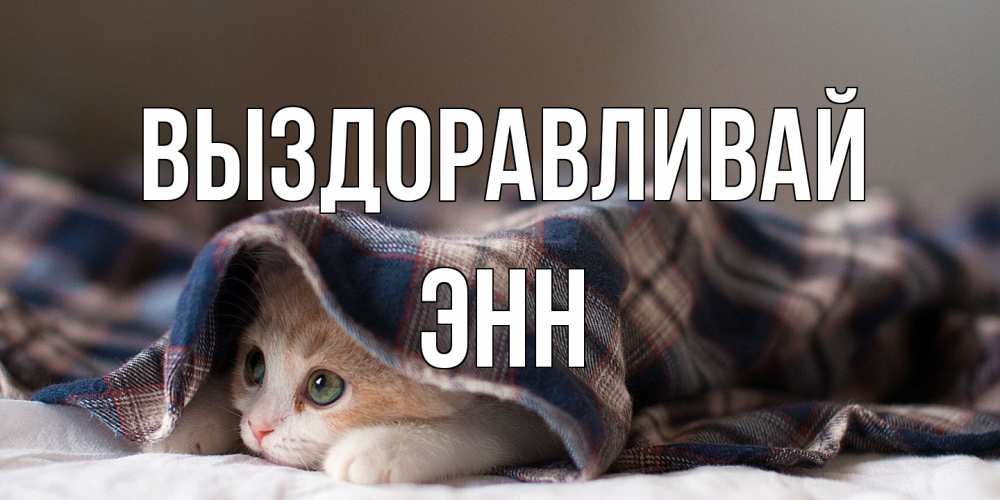 Открытка на каждый день с именем, Энн Выздоравливай не болейте с котиком Прикольная открытка с пожеланием онлайн скачать бесплатно 