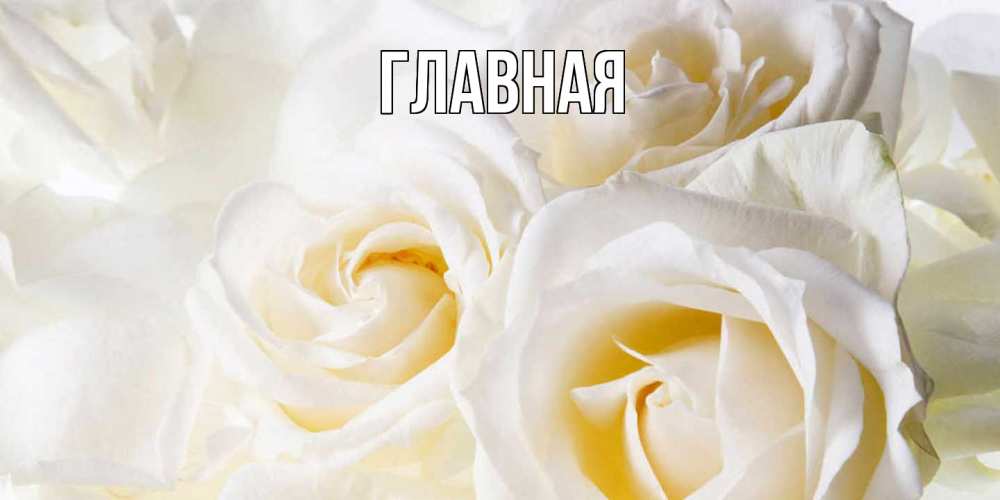 Открытка на каждый день с именем, настя Главная открыточки на день рождения любимым Прикольная открытка с пожеланием онлайн скачать бесплатно 