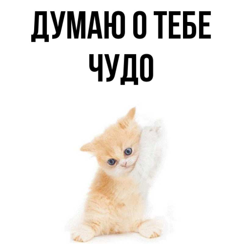 Картинка Думаю о тебе, Чудо