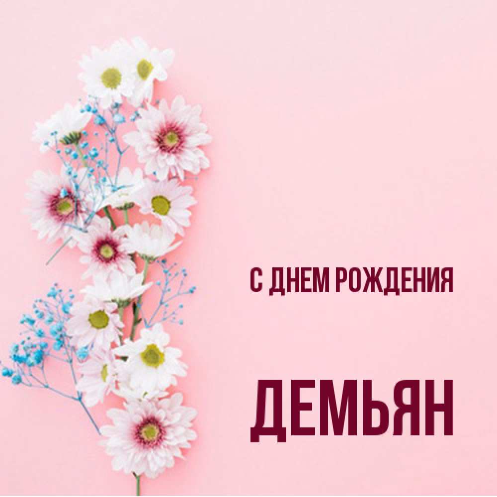 Открытка на каждый день с именем, Демьян С днем рождения Родная моя с днем рождения тебя картинка с цветами белыми и голубыми Прикольная открытка с пожеланием онлайн скачать бесплатно 