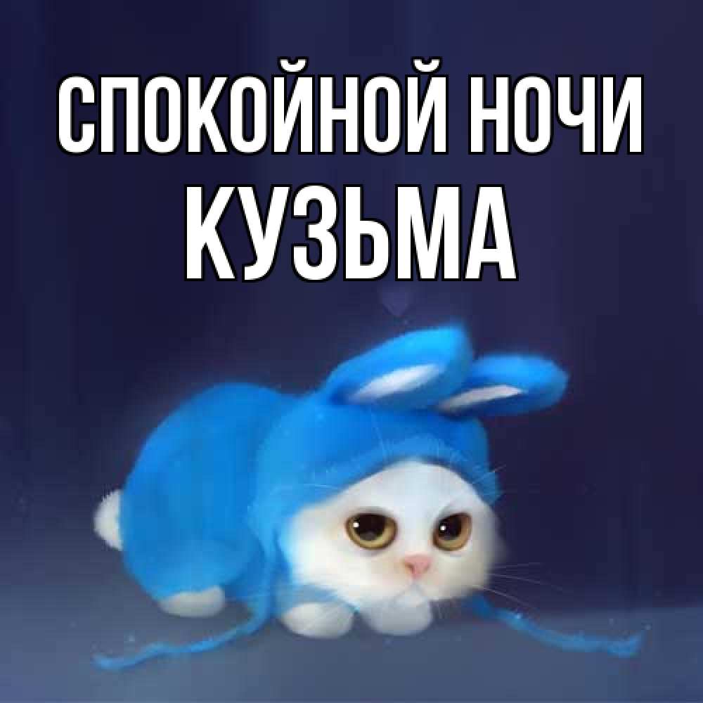 Открытка на каждый день с именем, Кузьма Спокойной ночи кот в голубом костюме кролика с ушками Прикольная открытка с пожеланием онлайн скачать бесплатно 