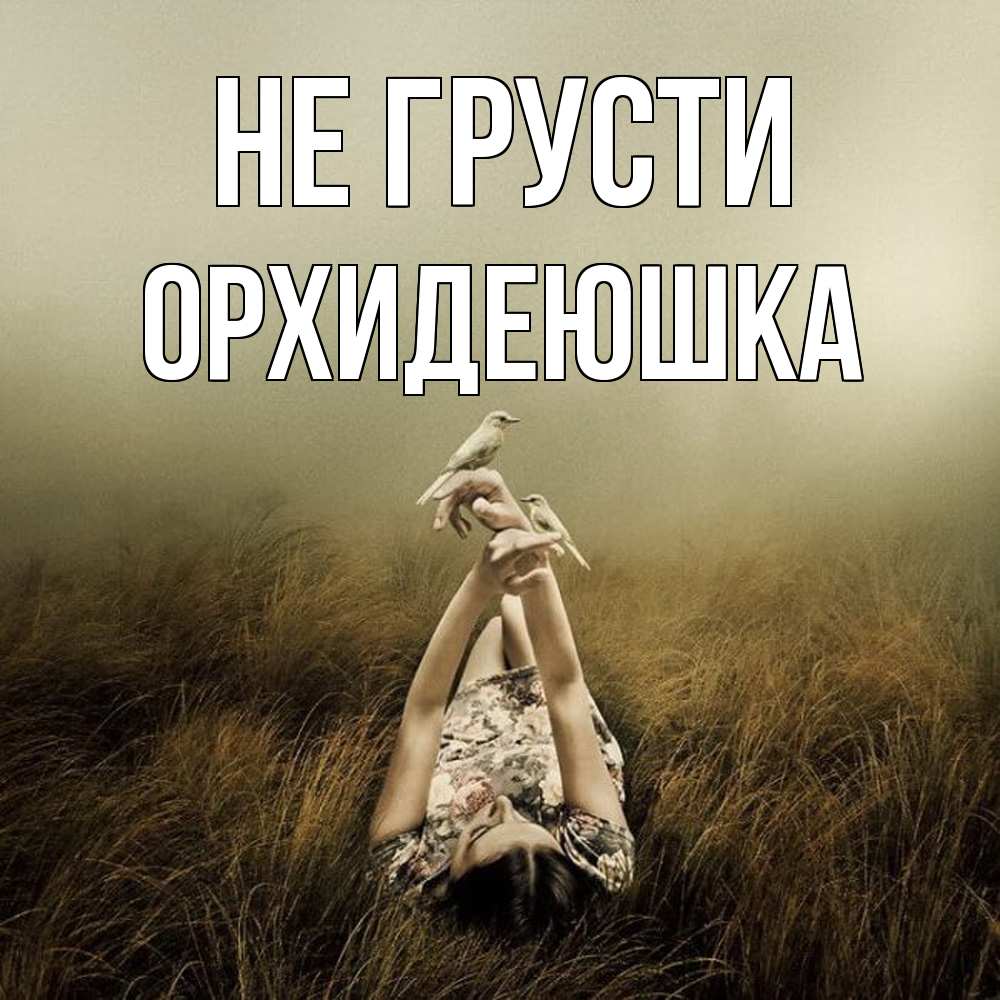 Открытка на каждый день с именем, Орхидеюшка Не грусти поле и туман Прикольная открытка с пожеланием онлайн скачать бесплатно 