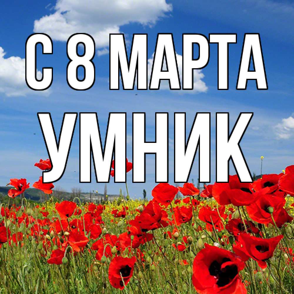 Открытка на каждый день с именем, Умник C 8 МАРТА международный женский день 1 Прикольная открытка с пожеланием онлайн скачать бесплатно 