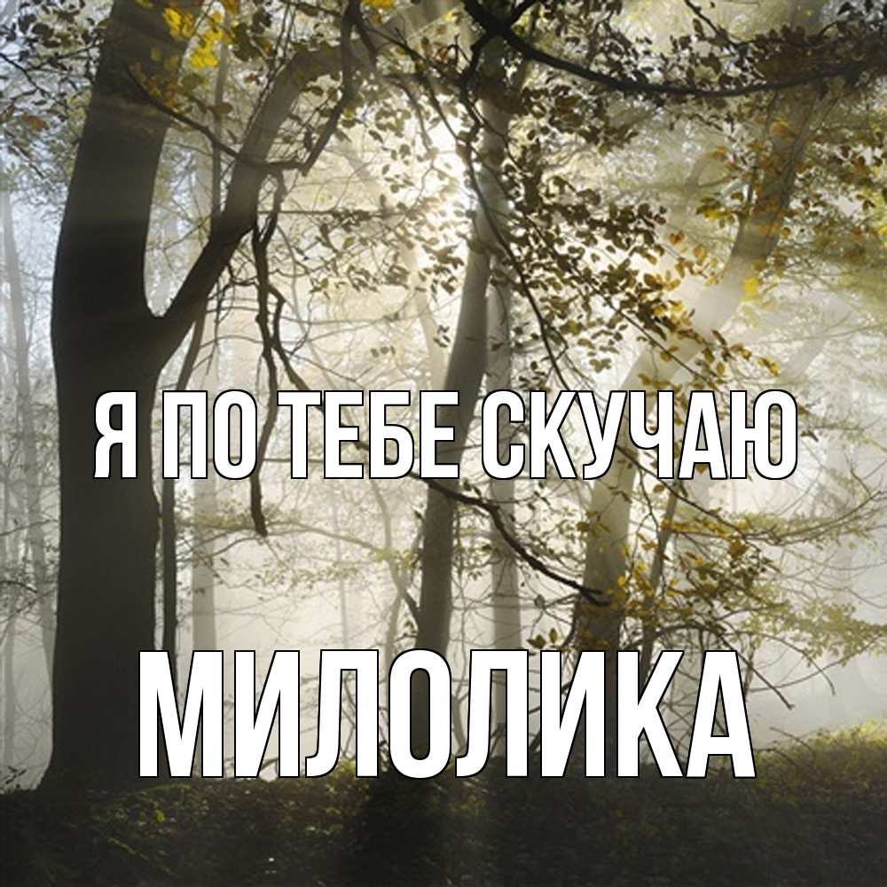 Открытка на каждый день с именем, Милолика Я по тебе скучаю грустно Прикольная открытка с пожеланием онлайн скачать бесплатно 