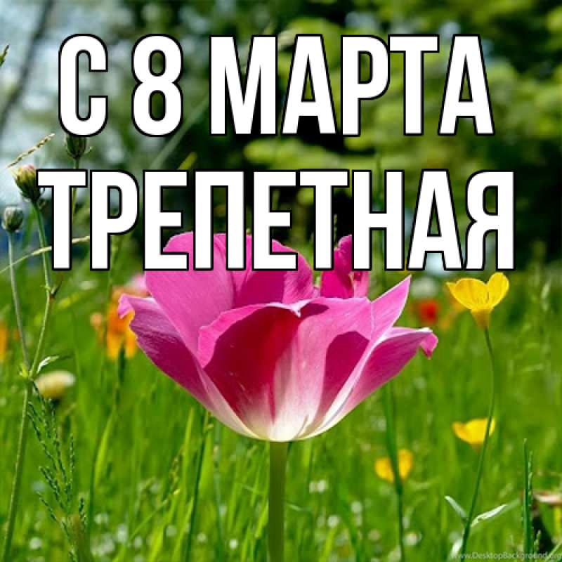 Картинка C 8 МАРТА, Тpепетная