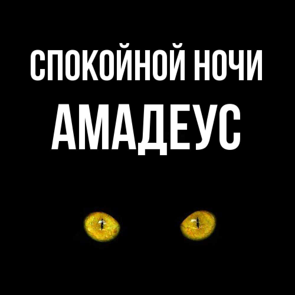Открытка на каждый день с именем, Амадеус Спокойной ночи сладких снов бесстрашный мой дружочек Прикольная открытка с пожеланием онлайн скачать бесплатно 