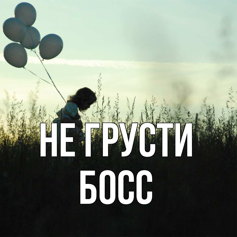 Открытка на каждый день с именем, Босс Не грусти ребенок Прикольная открытка с пожеланием онлайн скачать бесплатно 