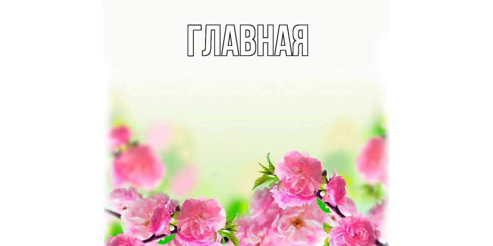 Открытка на каждый день с именем, настя Главная цветы Прикольная открытка с пожеланием онлайн скачать бесплатно 