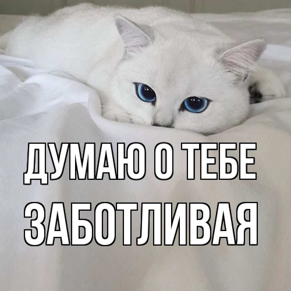 Открытка на каждый день с именем, Заботливая Думаю о тебе я очень по тебе скучаю и тоскую Прикольная открытка с пожеланием онлайн скачать бесплатно 